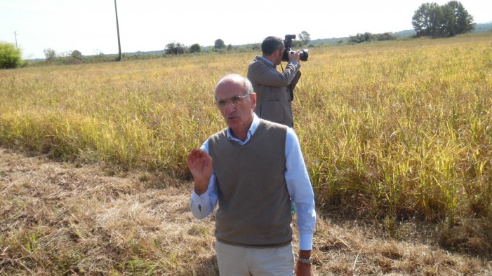 Gocce d’Israele in risaia, Basf lancia la Farm Network con la sub irrigazione (photogallery)