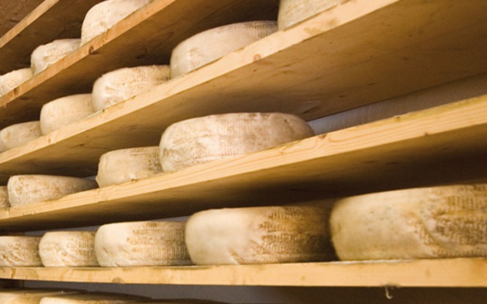 La carica dei Pat: il caso del formaggio made in balma