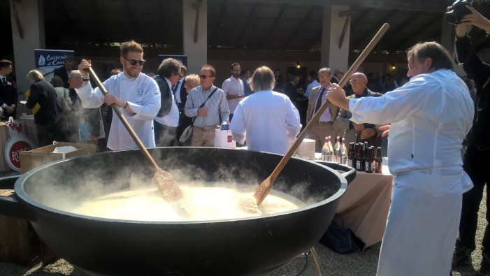 Rane d’oro alla corte di Sua Maestà il riso (photogallery)