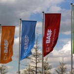 Bandiere con il logo Basf a Monheim, Germania.  REUTERS/Ina Fassbender/File Photo