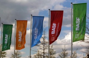 Bandiere con il logo Basf a Monheim, Germania. REUTERS/Ina Fassbender/File Photo