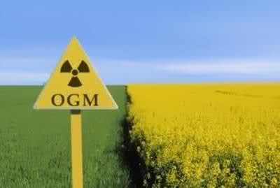 Ogm, grandi manovre delle multinazionali e pericolo per i consorzi agrari