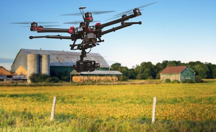 Tutti in campo, sul web e in tv l’agricoltura Made in Piemonte