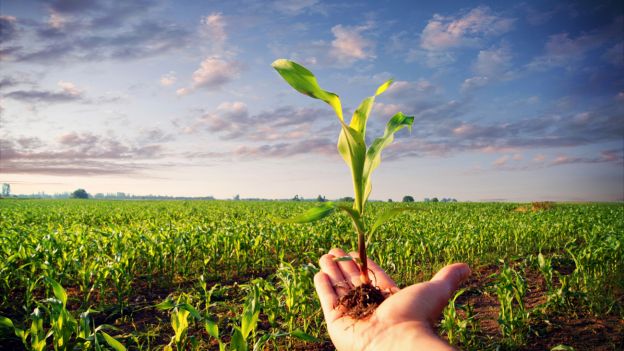 Il biologico oggi, convegno a Novarello