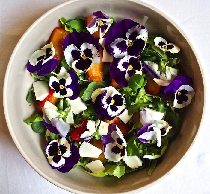 Metti un fiore nei nostri piatti: la via gastronomica della floricoltura