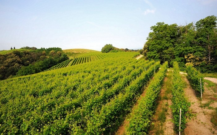 Nasce il fondo IdeA Agro (De Agostini): 80 milioni per le aziende agricole