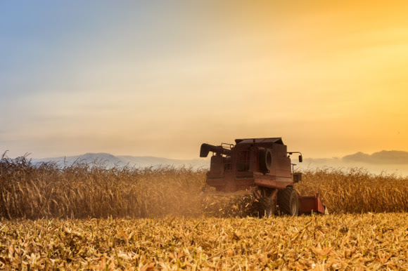 Protocollo d’intesa per migliorare il grano duro italiano