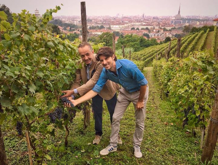 Vendemmia nel vigneto metropolitano