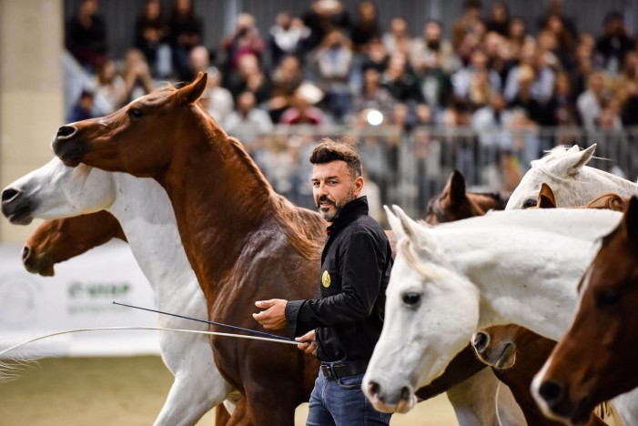 Italia a cavallo, i 120 anni della Fiera con 160 mila visitatori