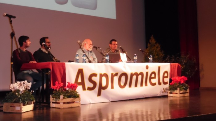 Apicoltori in rivolta: “Le api scompaiono, ma noi non siamo i colpevoli” (photogallery)