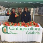 clementine_donne_calabria