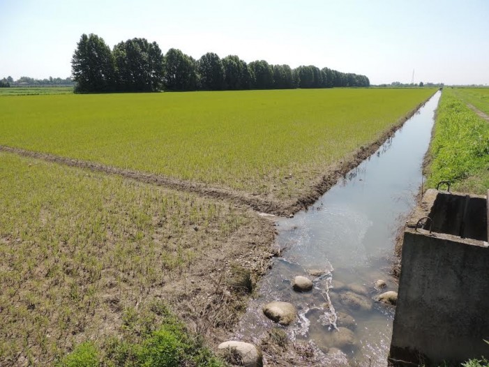 Medwaterice, come risparmiare acqua e produrre meglio