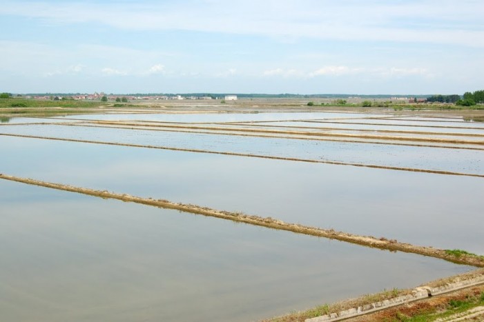 Terre d’acqua tra riso e canali, il Maggio piemontese