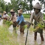 MYANMAR_-_agricoltori_acqua_birmani