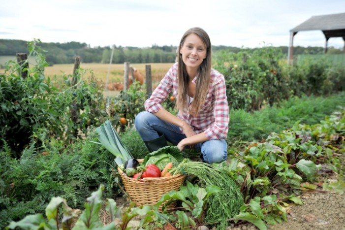 Premi per l’insediamento di giovani agricoltori