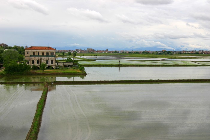 Accordo Università-Regione per una ricerca sulle Terre d’Acqua