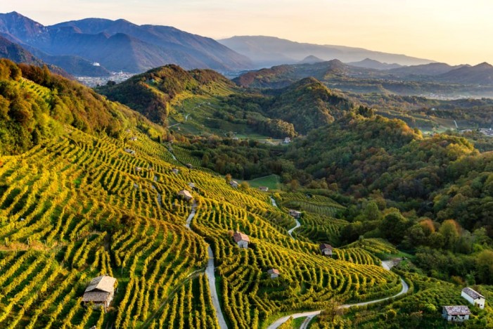 Langhe e Colline del Prosecco patrimoni Unesco. E perché no la risaia?