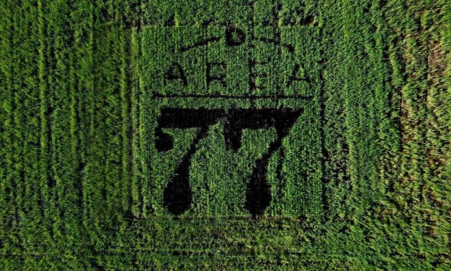 Razza 77, il riso che va a tempo di rock