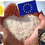 arroz