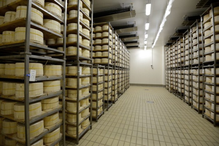 Gorgonzola, appelli contro i dazi Usa: tutele per i produttori