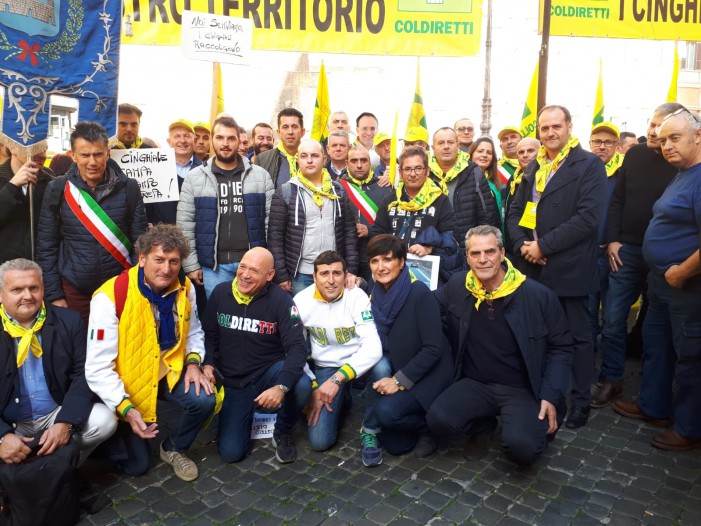 Il flagello dei cinghiali arriva a Montecitorio (photogallery)