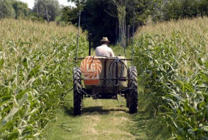 “Bene il Cura Italia, ma occorre semplificare il voucher agricolo”