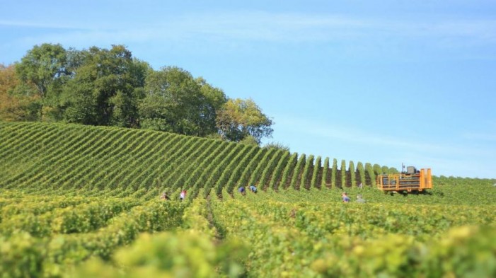 Fondi Psr agli agricoltori: in aprile Piemonte primo al traguardo