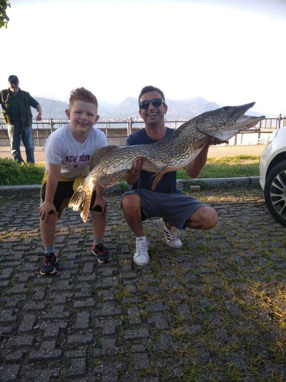 Il luccio del Lago Maggiore