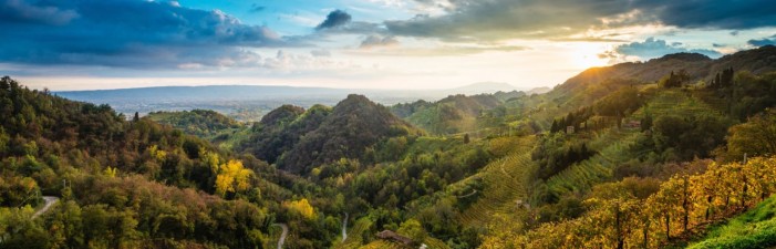 Il Mater-Bi di Novamont nelle vigne del Prosecco