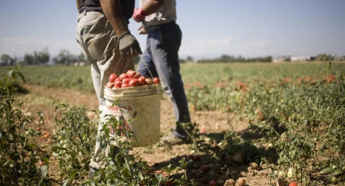 RipartiPiemonte cerca di dare la scossa all’agricoltura RipartiPiemonte cerca di dare la scossa all’agricoltura