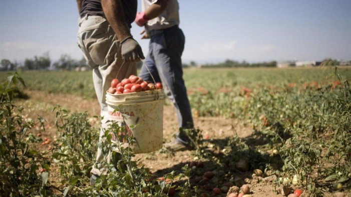 RipartiPiemonte cerca di dare la scossa all’agricoltura