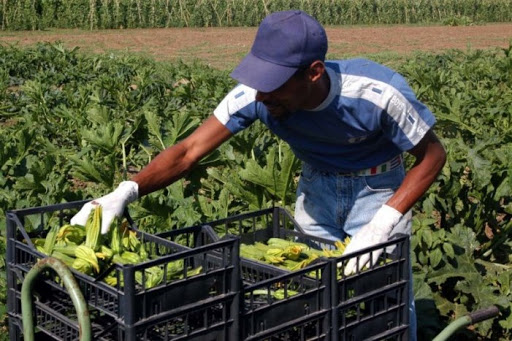 Contributi per ospitare gli stagionali in Piemonte