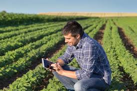 Agro-ambiente, bio, giovani: 30 milioni per 11 mila aziende piemontesi