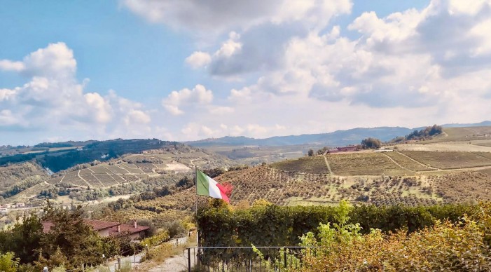 Sulle colline sventola la bandiera per la vendemmia tricolore (photogallery)