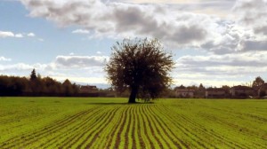 clima piemonte