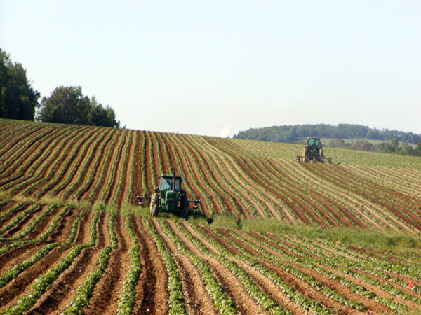 Psr: pagati 639 milioni agli agricoltori piemontesi