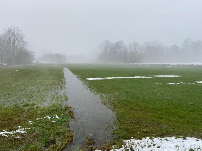 Marcite e bose, magie d’inverno