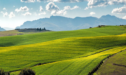 Next Generation Farming: corso per giornalisti con Confagricoltura