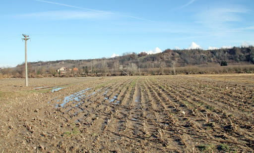 Piemonte, arriva la Pac: 21,8 milioni di euro a 20 mila aziende