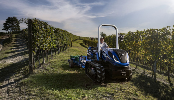 Il Barolo della vigna dei re a emissioni zero