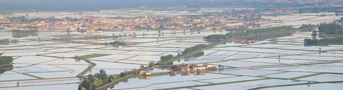 Fondazione Agraria Novarese, cambio al vertice: da Baldrighi a Bergamaschi