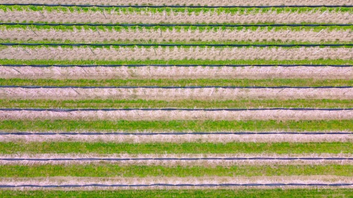 Magia di colori ai piedi del “Re di Pietra” (fotogallery)