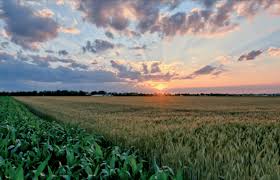 Bioeconomia, in Piemonte due milioni per progetti pilota