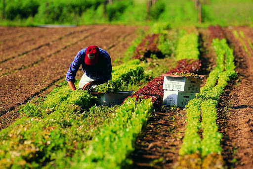 Contributi agli enti che ospitano gli stagionali