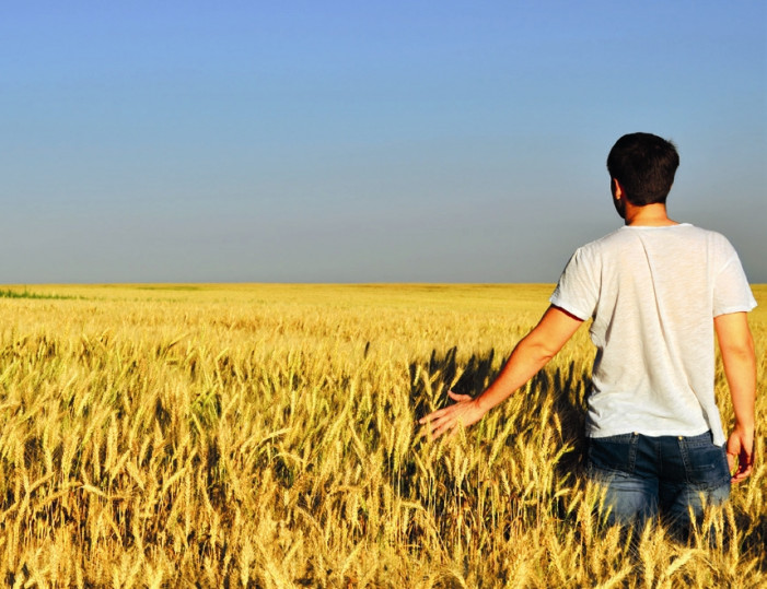 Psr Piemonte, liquidato il 95 per cento agli agricoltori