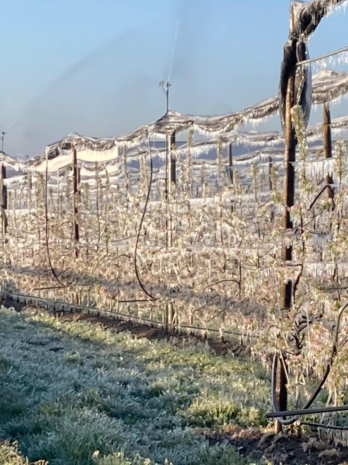 Annata agraria, Piemonte sconta l’effetto-clima