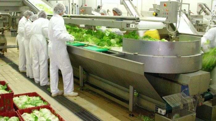 Trasformare prodotti agricoli in Piemonte: pronti 21 milioni di euro