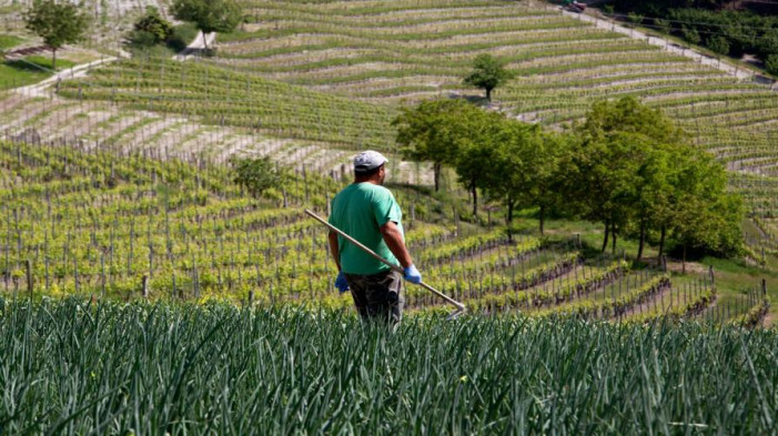 Piemonte, proroga del bando Psr