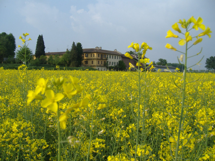Clima e coltivazioni: vertice Regione Piemonte-Podere Pignatelli