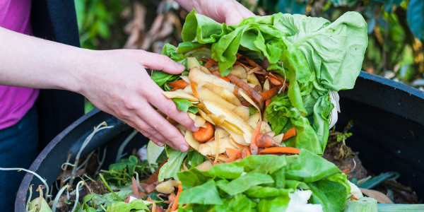 “Ciapa e porta a ca!”, Piemonte contro lo spreco alimentare